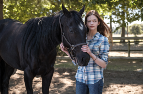 Black Beauty: Autobiografia di un cavallo, Disney+ rilascia il trailer ufficiale