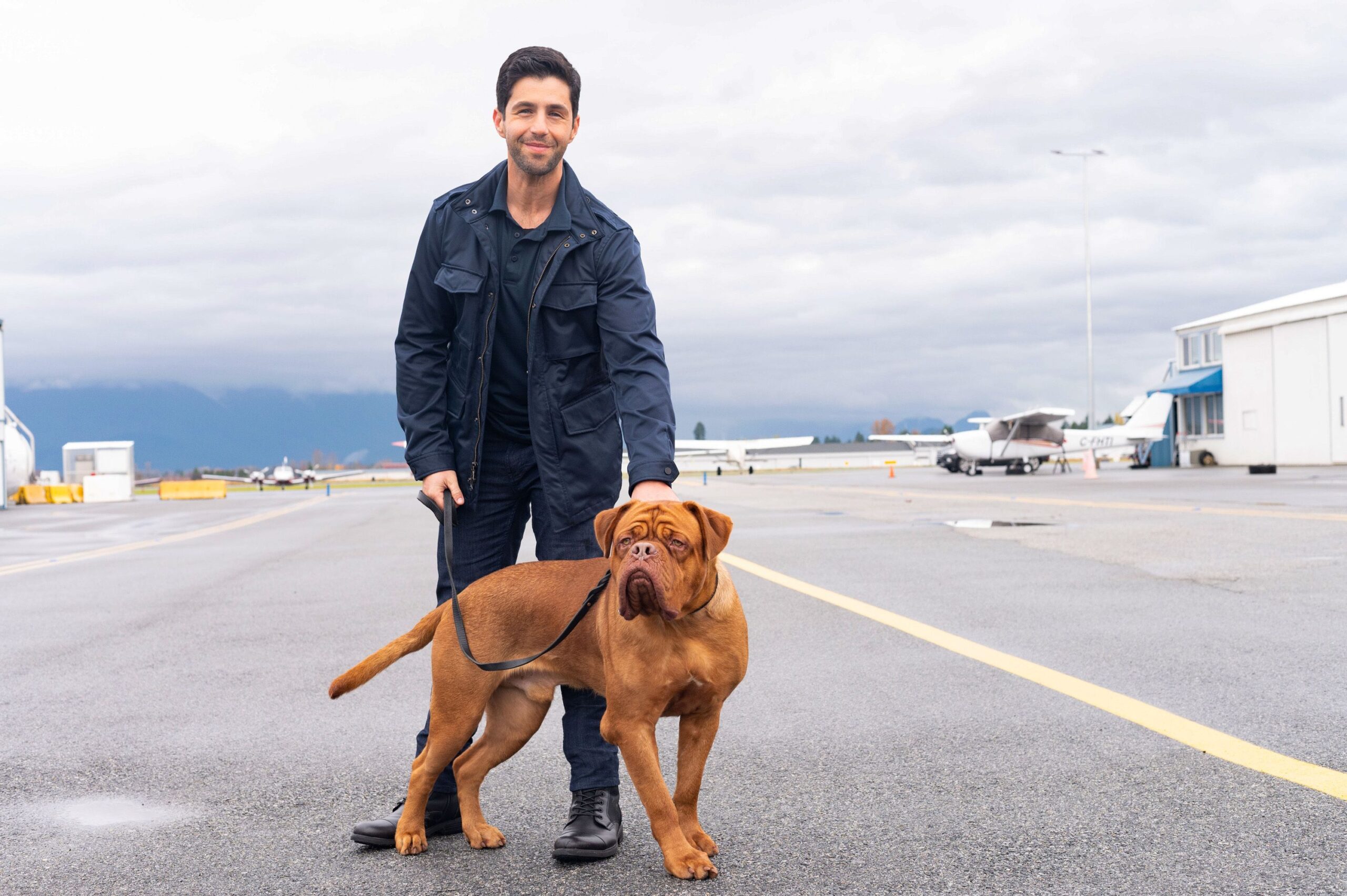 Turner e il Casinaro - La serie: Disney+ svela il trailer ufficiale
