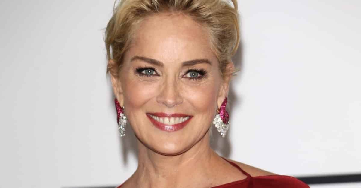sharon stone l'assistente di volo 2