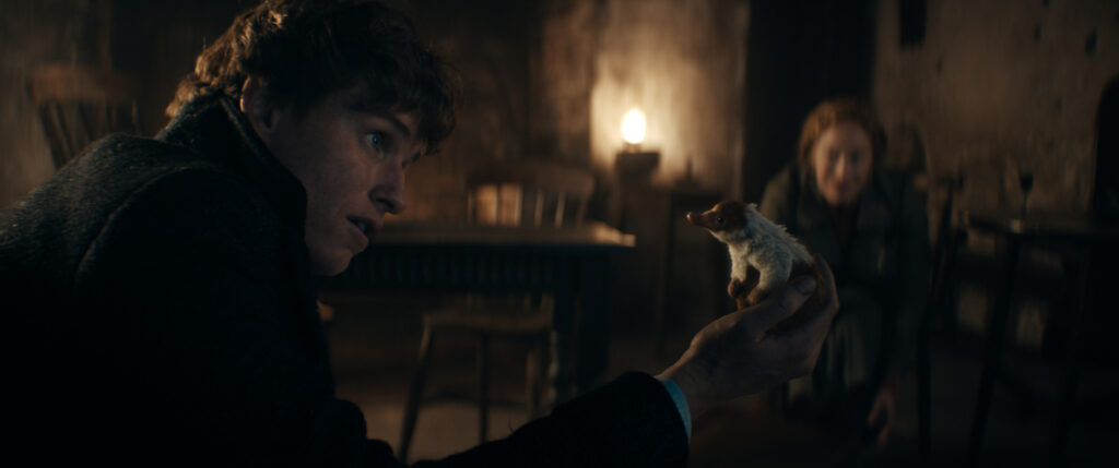 Animali Fantastici: I Segreti di Silente, la recensione Photo Credit: Courtesy of Warner Bros. Pictures