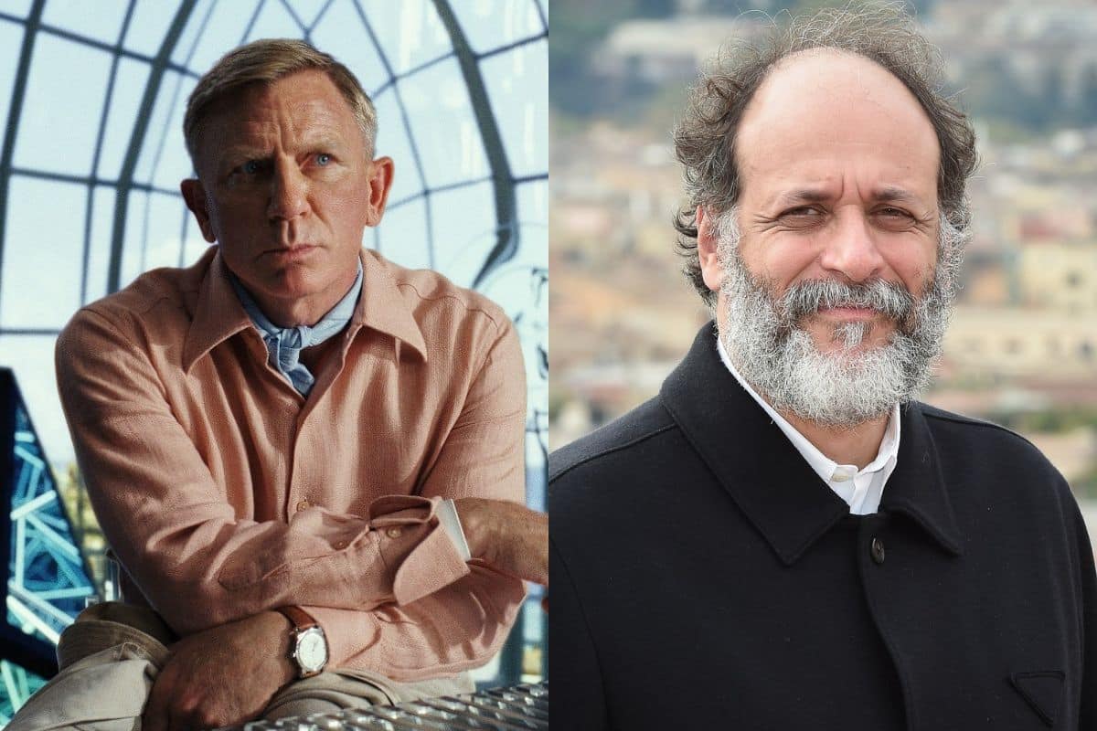 Queer Daniel Craig Luca Guadagnino