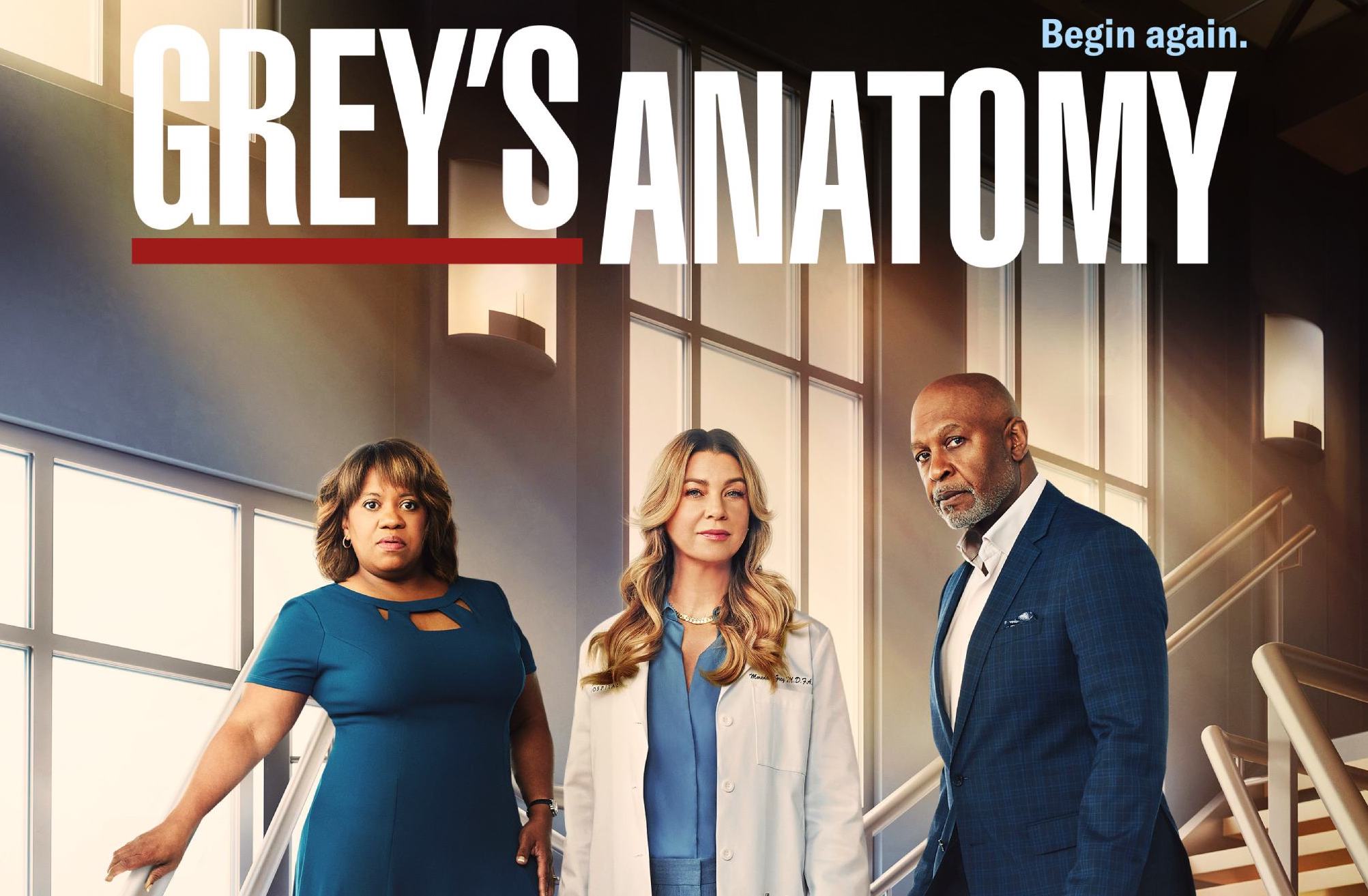 Grey's Anatomy 20