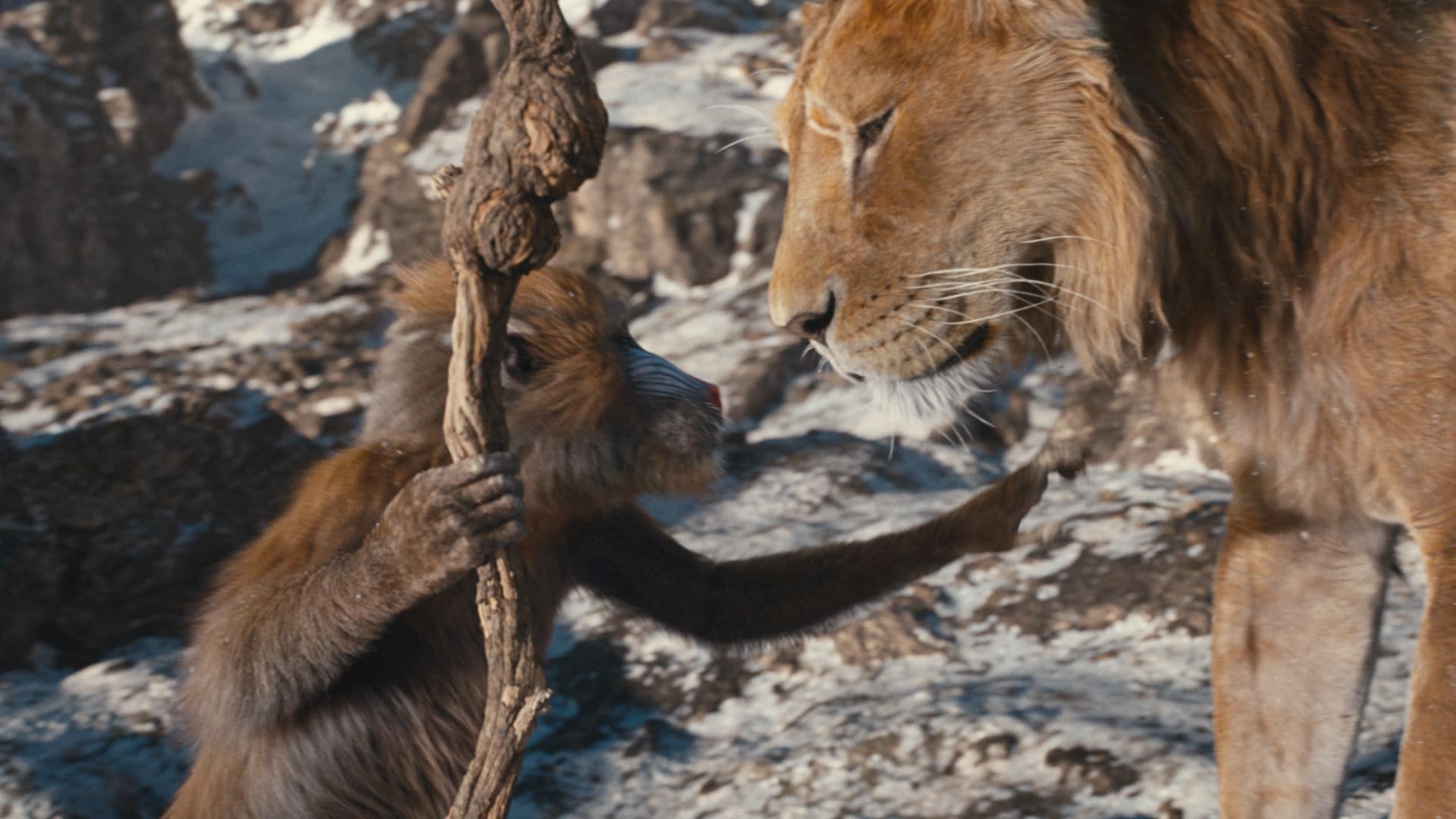 Mufasa: Il Re Leone, il film Disney arriva al cinema dal 19 Dicembre Beyoncé e sua figlia nel cast vocale