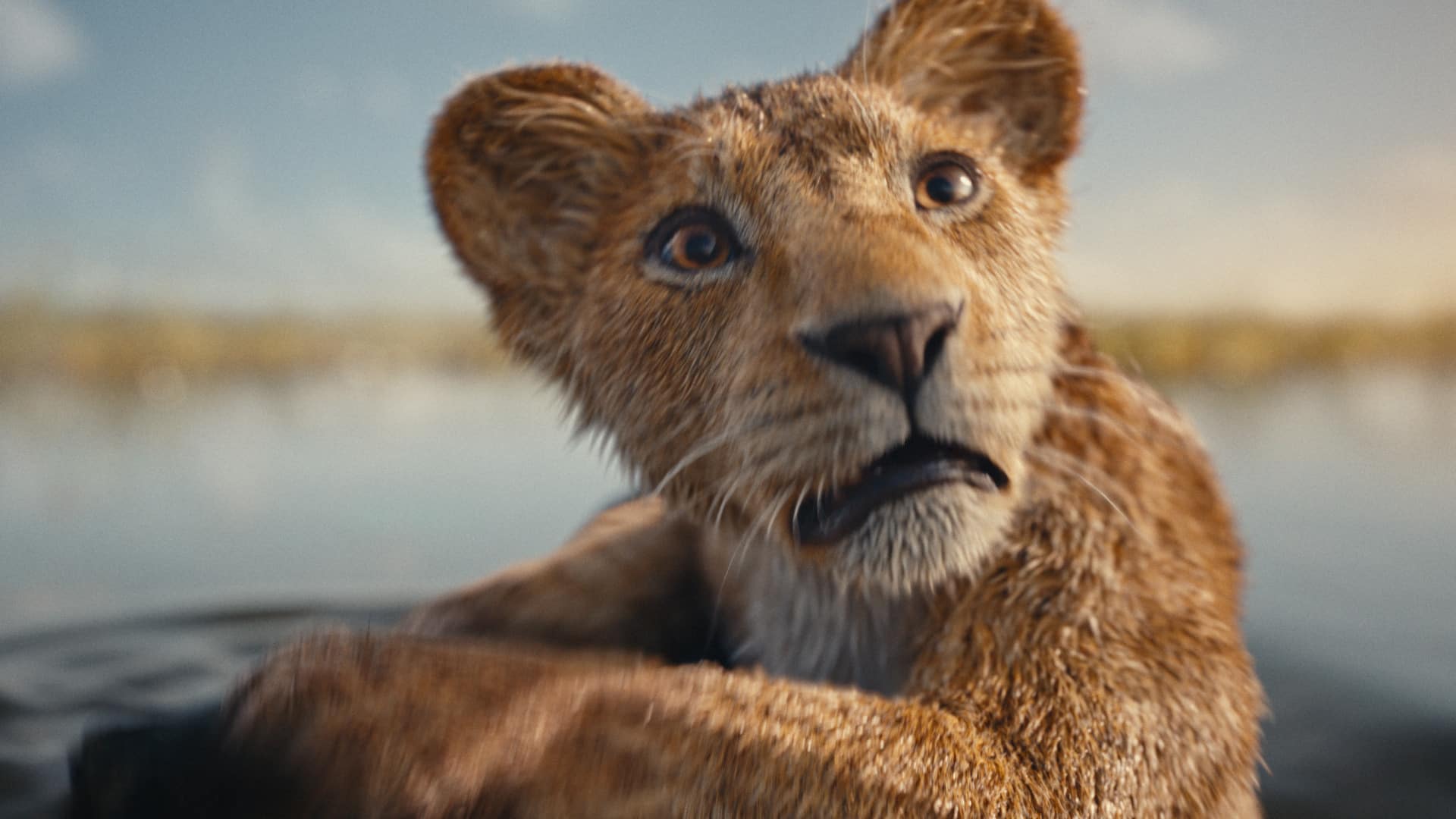 Mufasa: Il Re Leone, Recensione del Prequel del nuovo film Disney, diretto da Barry Jenkins
