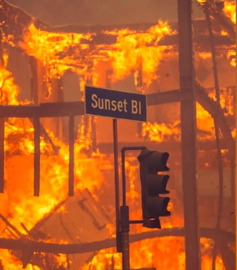 Da Milo Ventimiglia a Miles Teller, si allunga la lista dei Vip che hanno perso la casa negli incendi di Los Angeles