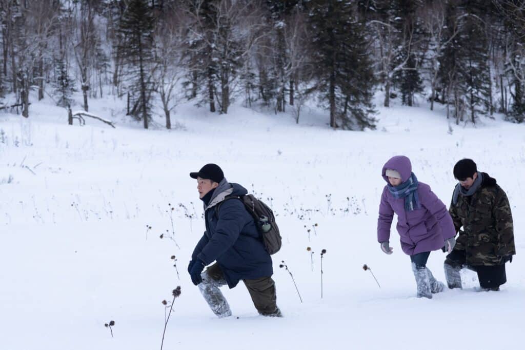 the breaking ice recensione