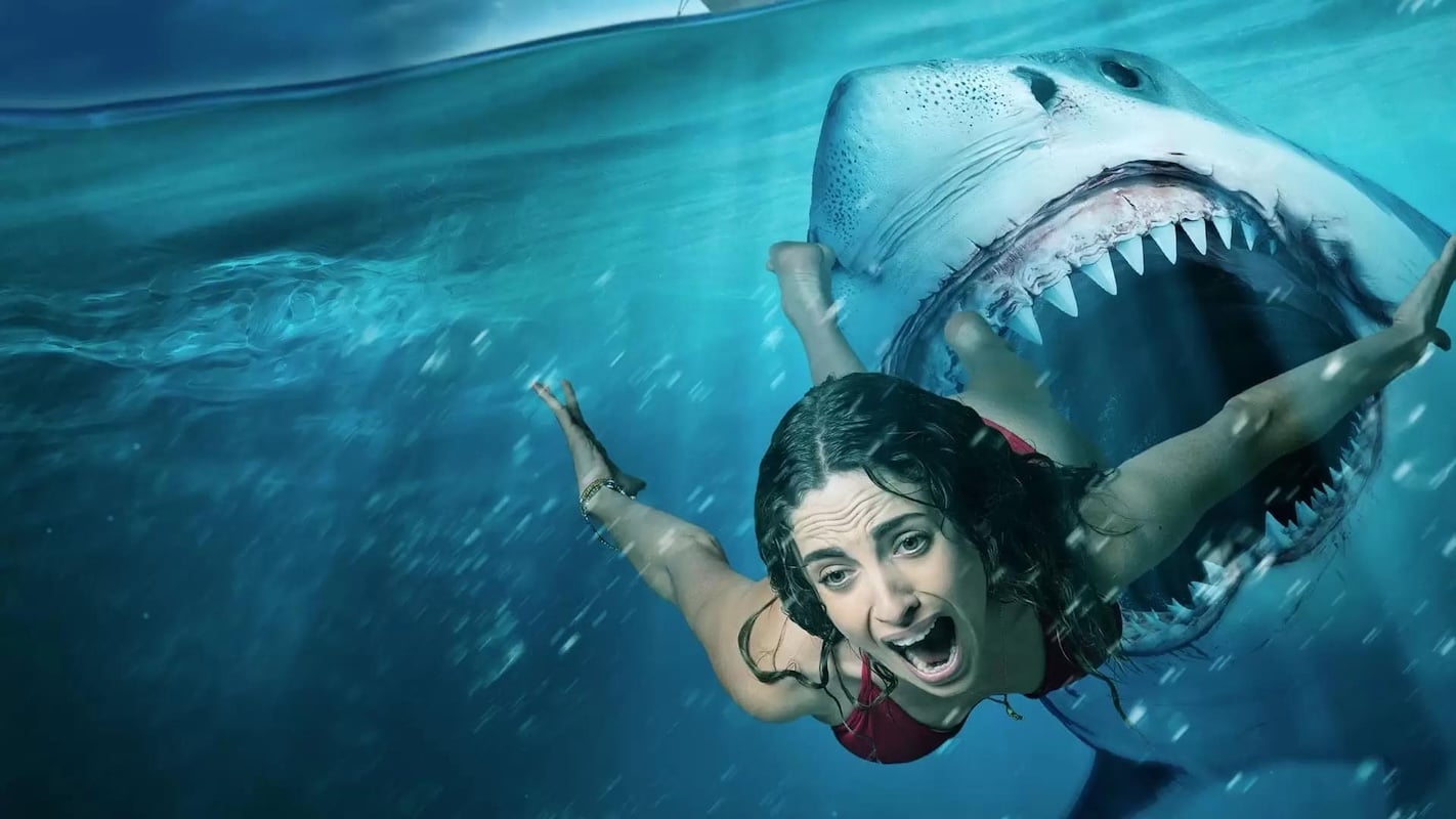 Shark Attack Programmazione