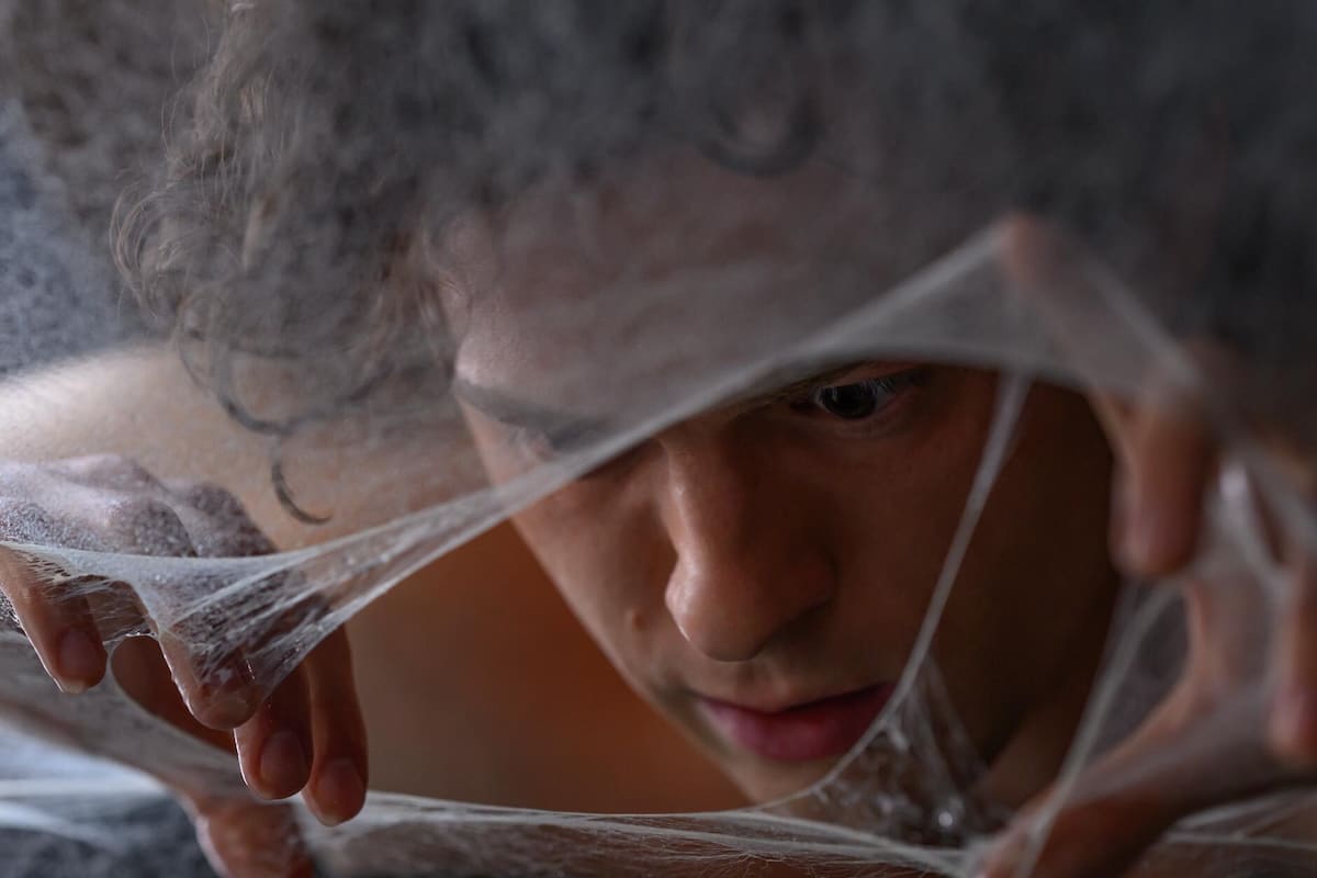Spider-Man: Brand New Day tom holland