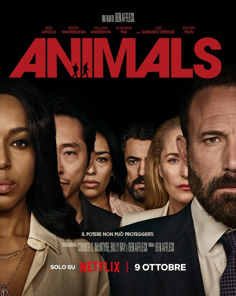 animals poster
