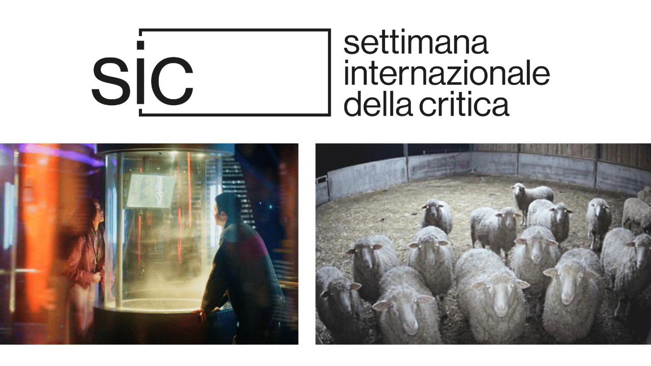 SIC 41, Zoom In, Zoom Out ed E-I-E-I-O protagonisti della giornata del 4 settembre